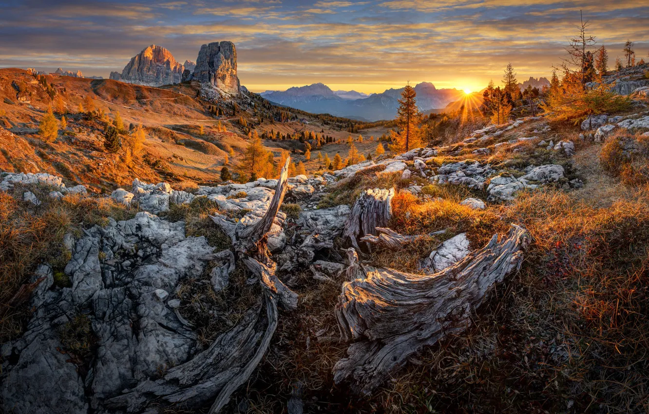 Photo wallpaper autumn, forest, mountains, stones, rocks, slope, snag