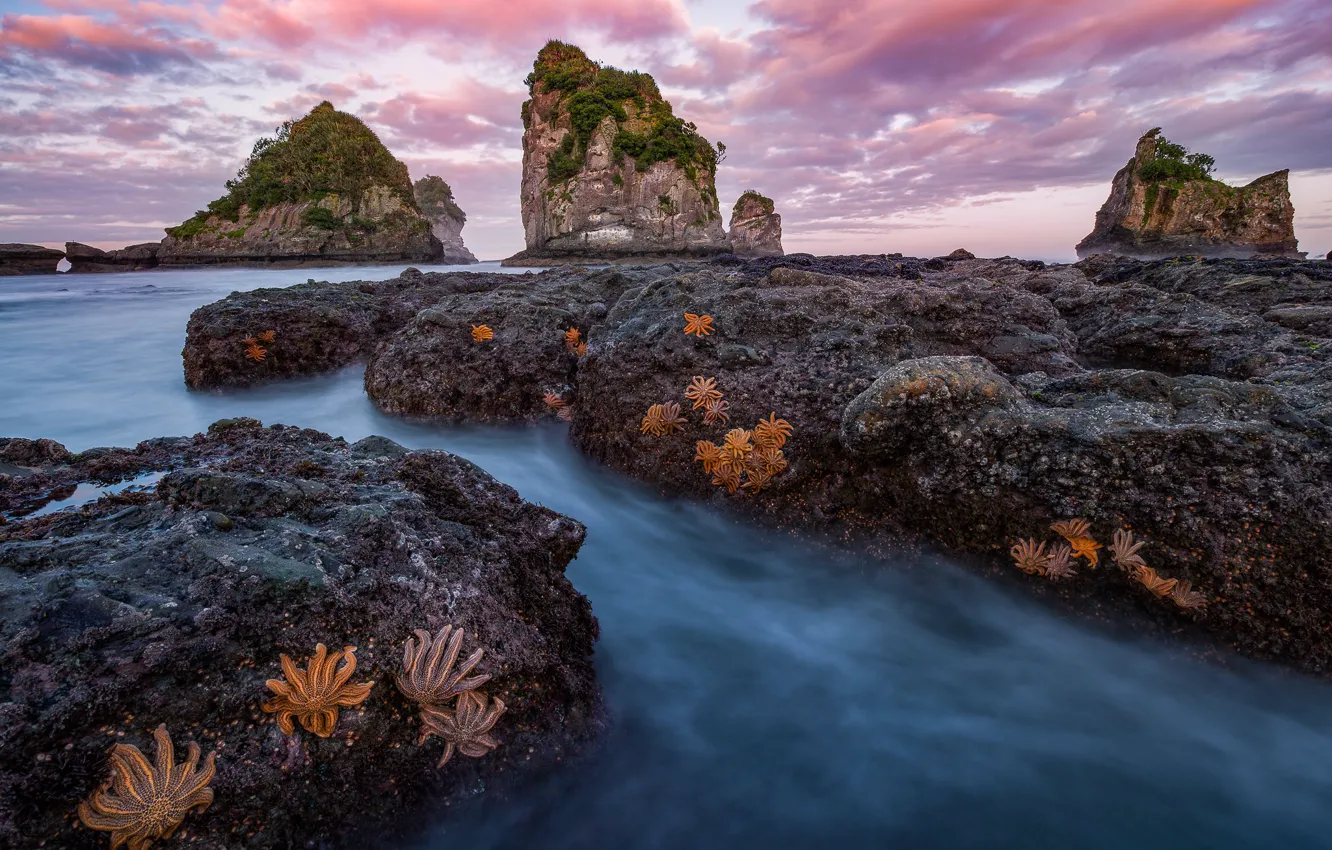 Photo wallpaper landscape, nature, stones, the ocean, rocks, coast, morning, New Zealand