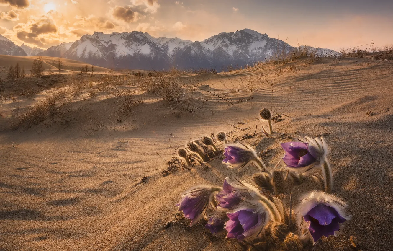 Photo wallpaper sand, mountains, cross