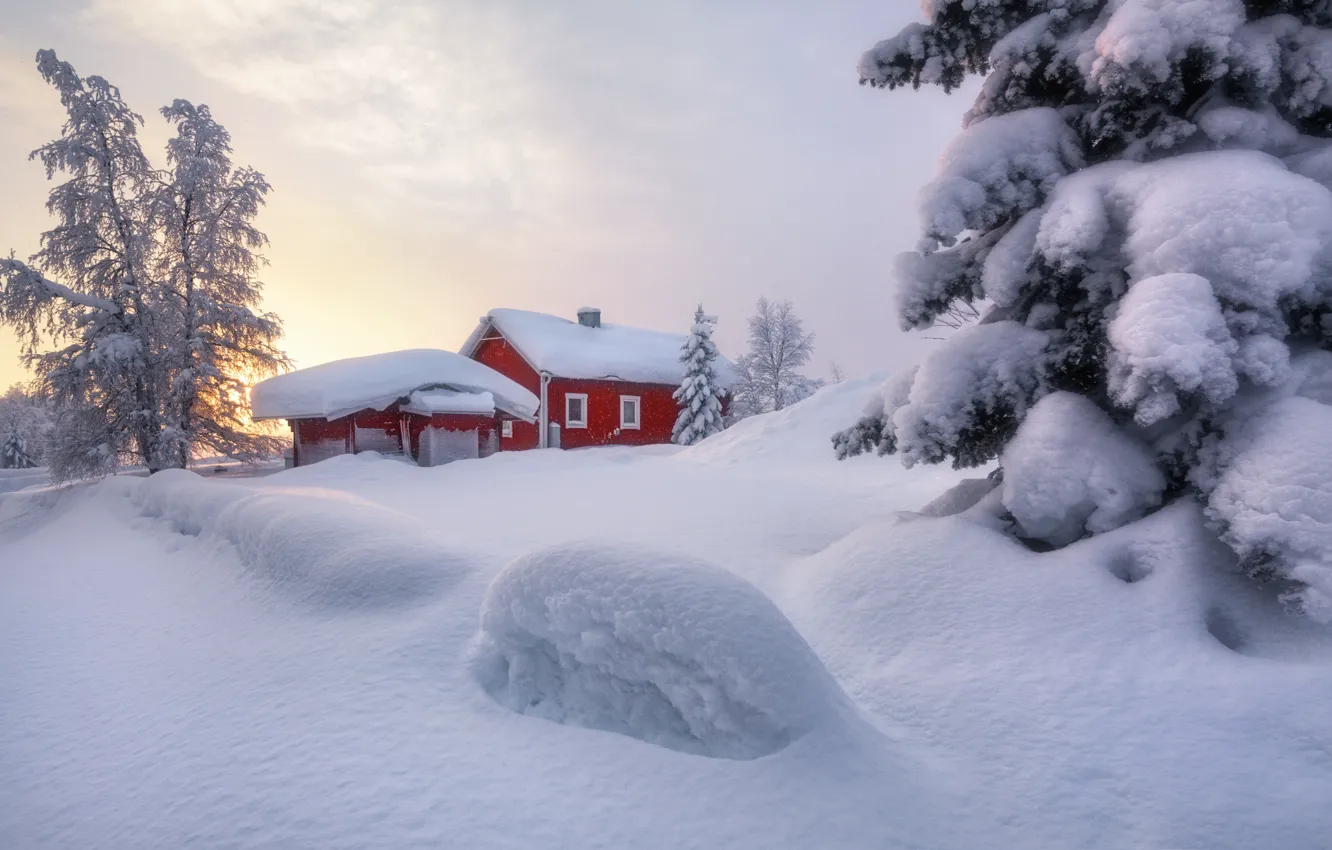 Photo wallpaper winter, snow, trees, spruce, the snow, house, Sweden, Sergei Aleshchenko