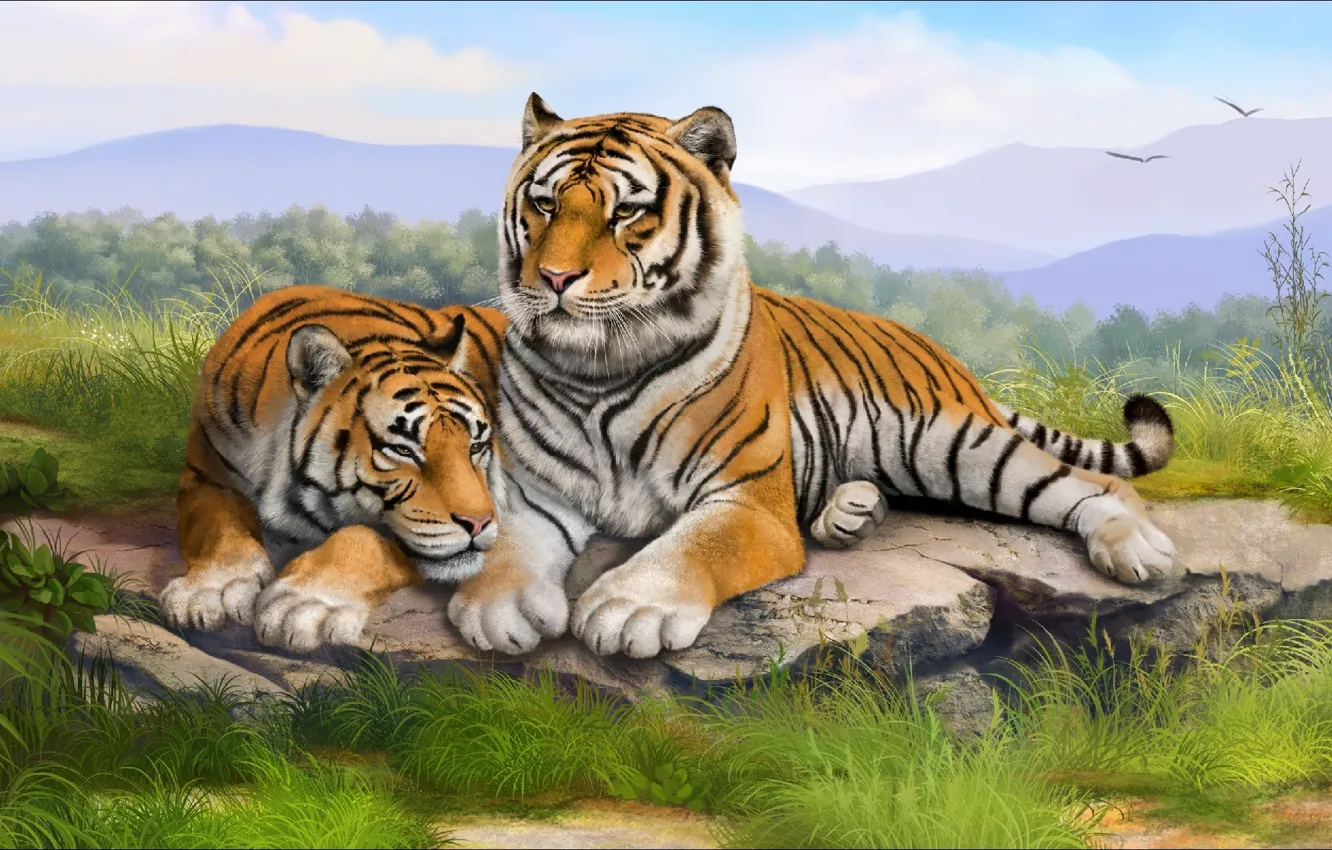 Photo wallpaper tiger, two, art, for children