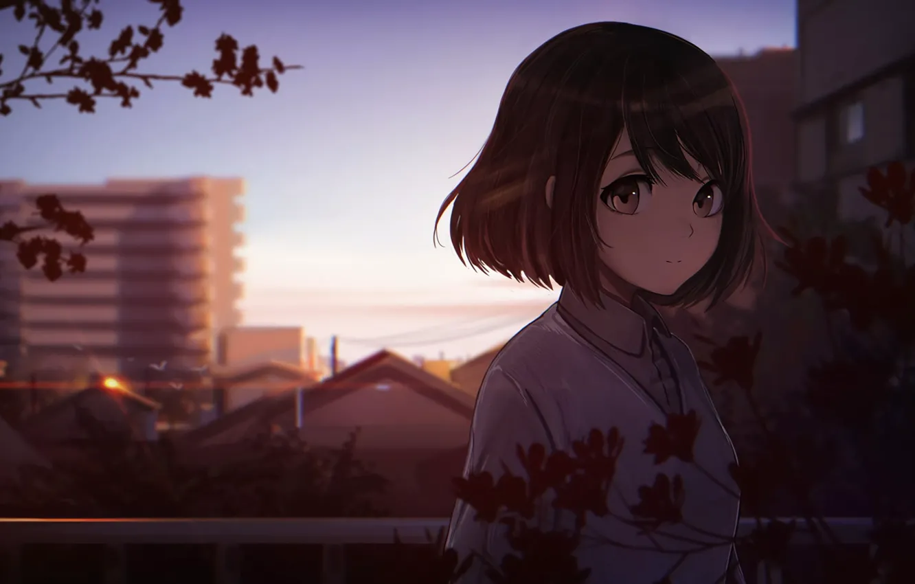 Photo wallpaper look, girl, branches, the city, anime, brown eyes, anime girl