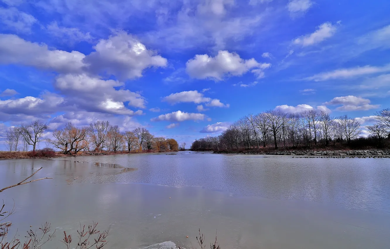 Photo wallpaper the sky, clouds, trees, lake, spring