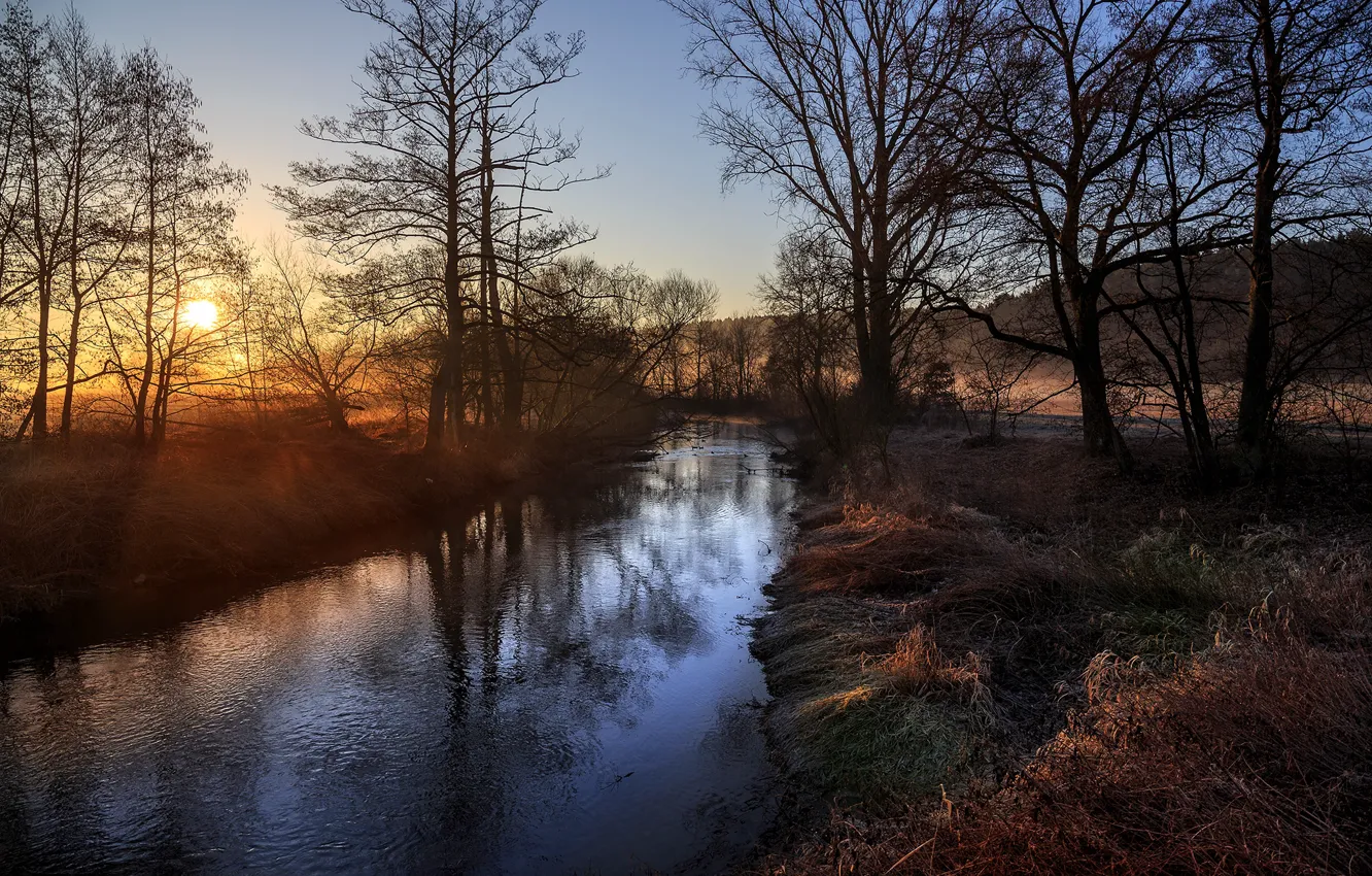 Photo wallpaper the sun, trees, nature, dawn, river