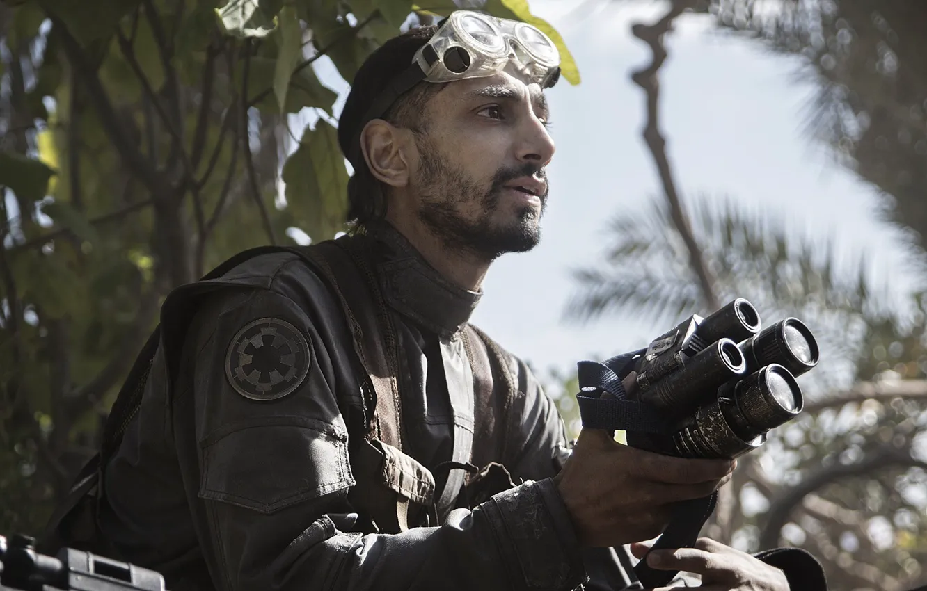Photo wallpaper cinema, Star Wars, logo, forest, actor, man, movie, film