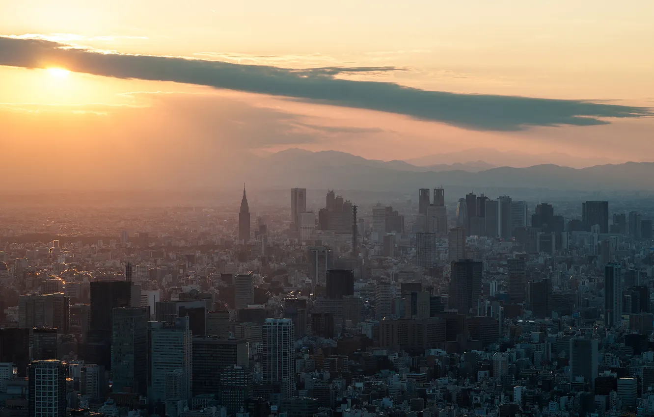 Photo wallpaper sunset, building, The sun, skyscrapers, Tokyo, Shinjuku, sunset, Tokyo SkyTree