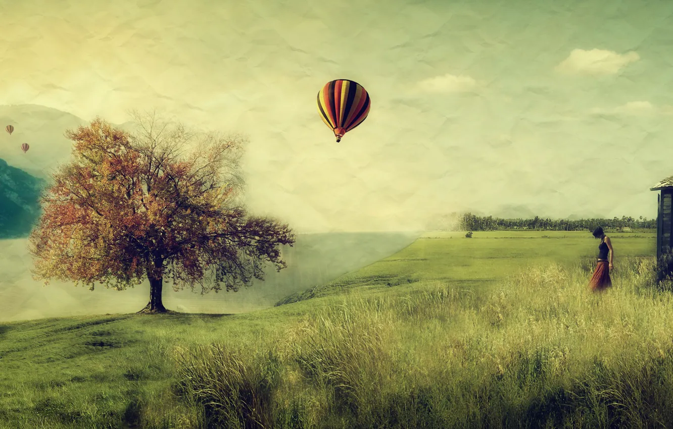 Photo wallpaper field, girl, balloon, tree, ball
