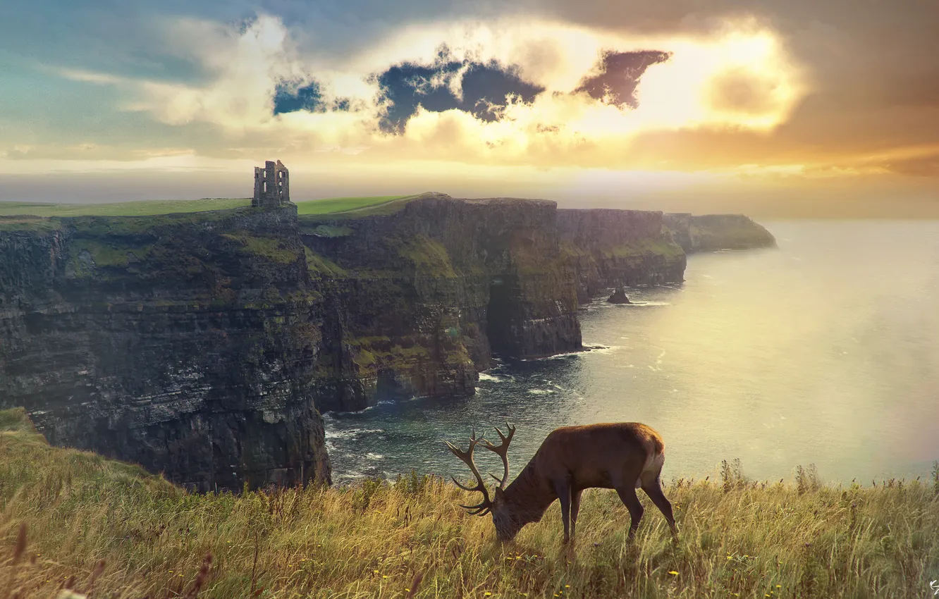 Photo wallpaper Scotland, art, Scotland, Photo Manipulated