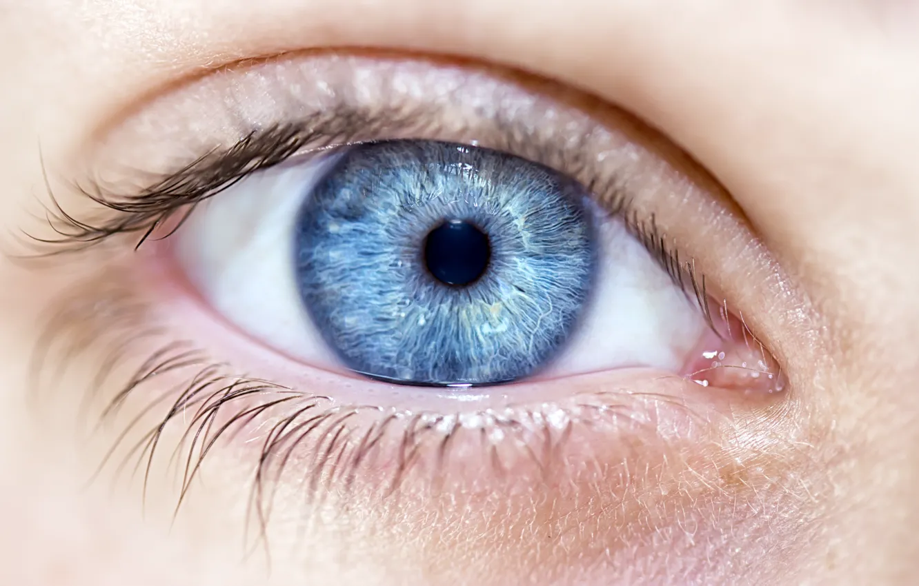 Photo wallpaper woman, blue eye, pupil