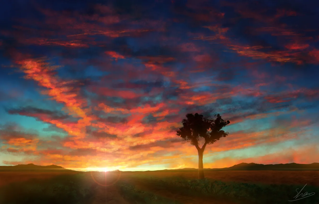 Photo wallpaper the sky, sunset, nature, tree