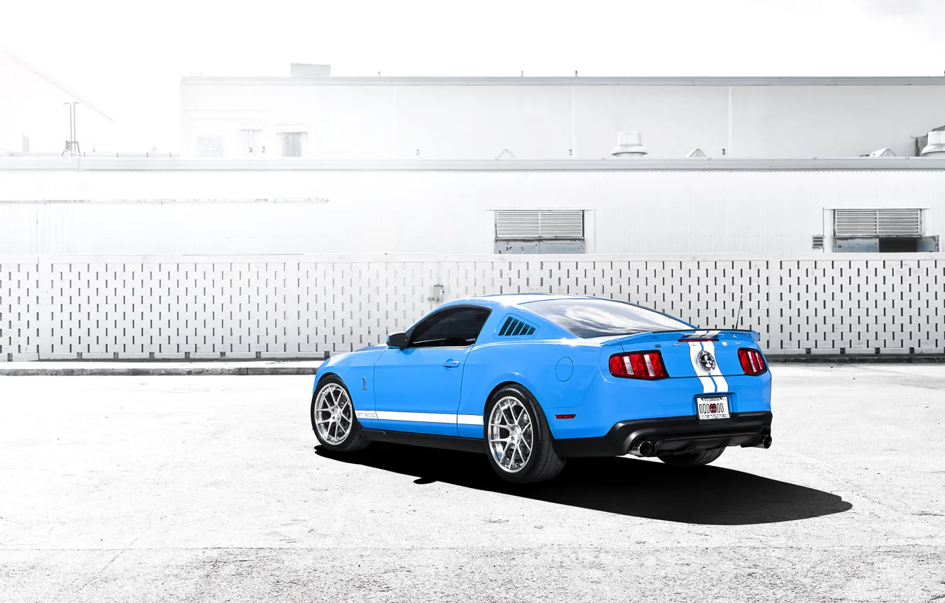 Photo wallpaper blue, Mustang, Ford, Shelby, GT500, Mustang, muscle car, Ford