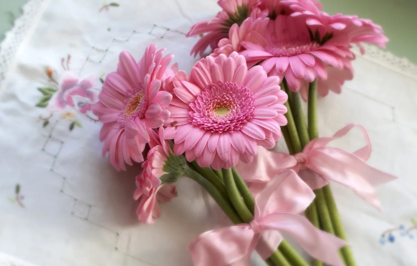 Photo wallpaper tape, pink, bow, gerbera, pink, gerberas
