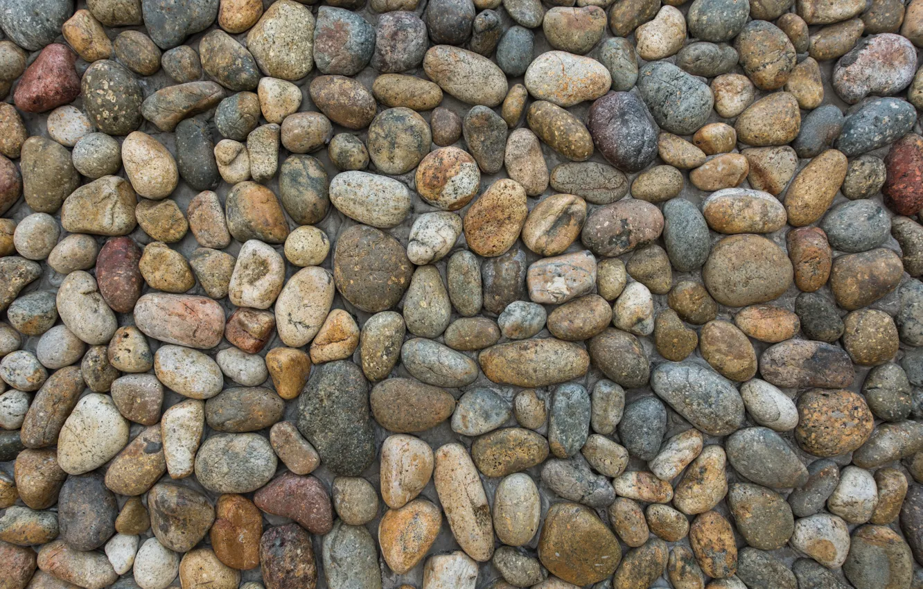 Photo wallpaper beach, pebbles, stones, background, white, white, beach, texture