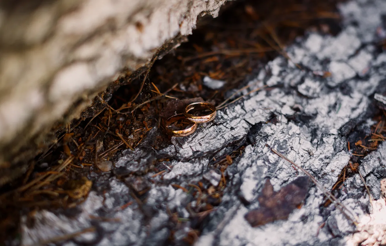 Photo wallpaper summer, family, ring, Svadba