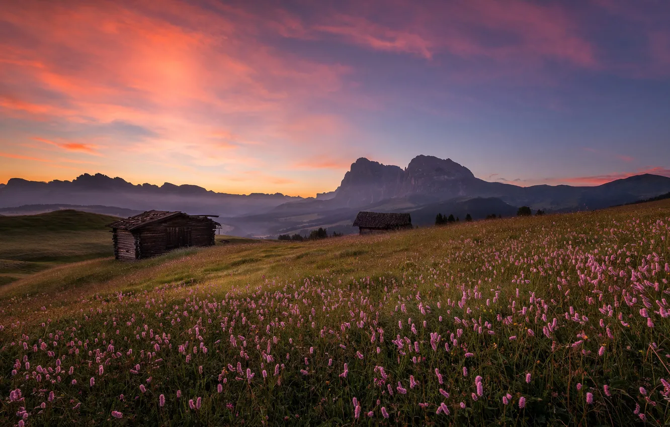Photo wallpaper grass, sunset, flowers, hills, tops, the evening, slope, Alps