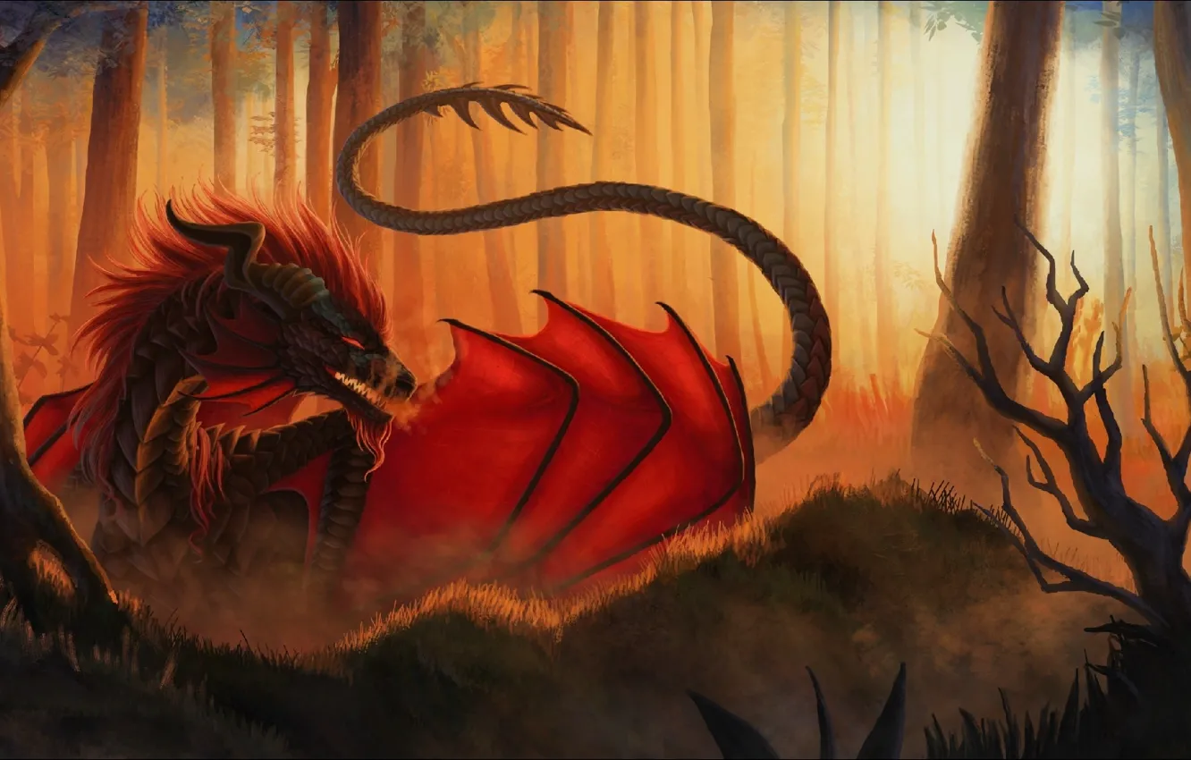 Photo wallpaper dragon, art, fire, fantasy, art, dragon, red dragon, Red dragon