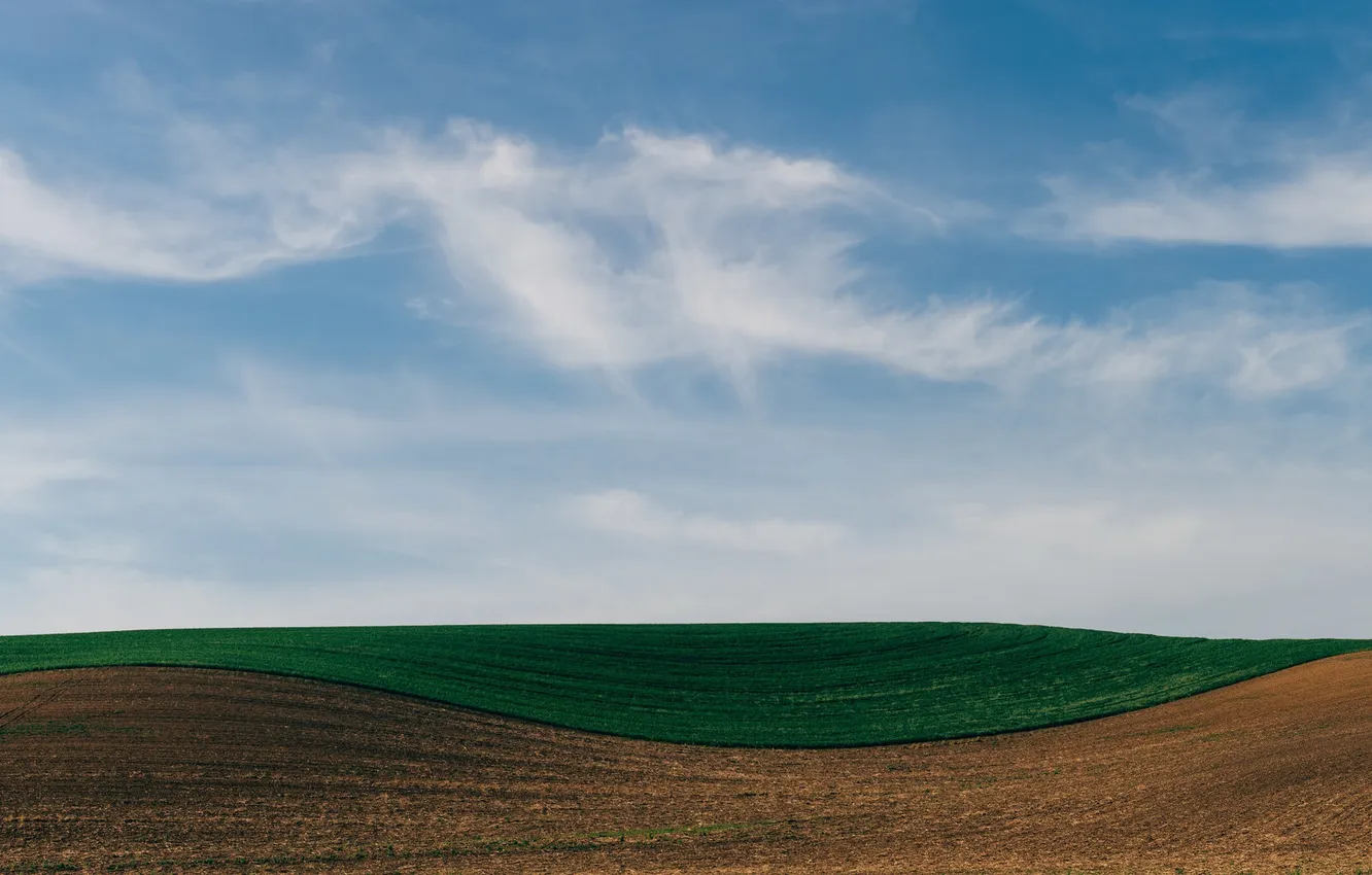 Photo wallpaper field, the sky, clouds, line, farm