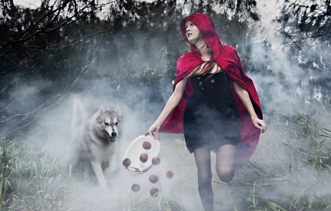 Photo wallpaper wolf, tale, girl, installation