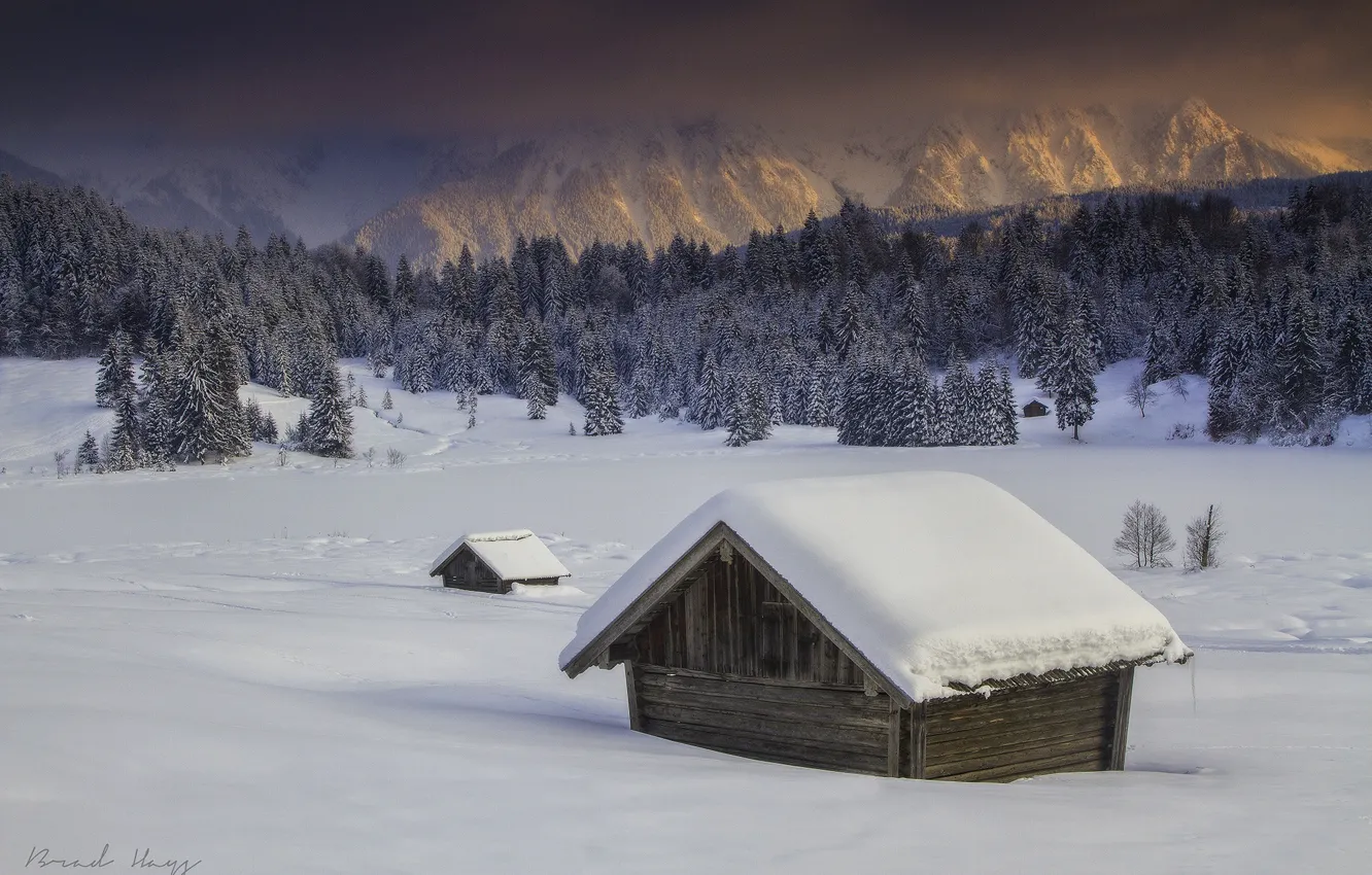 Photo wallpaper winter, forest, trees, mountains, came down