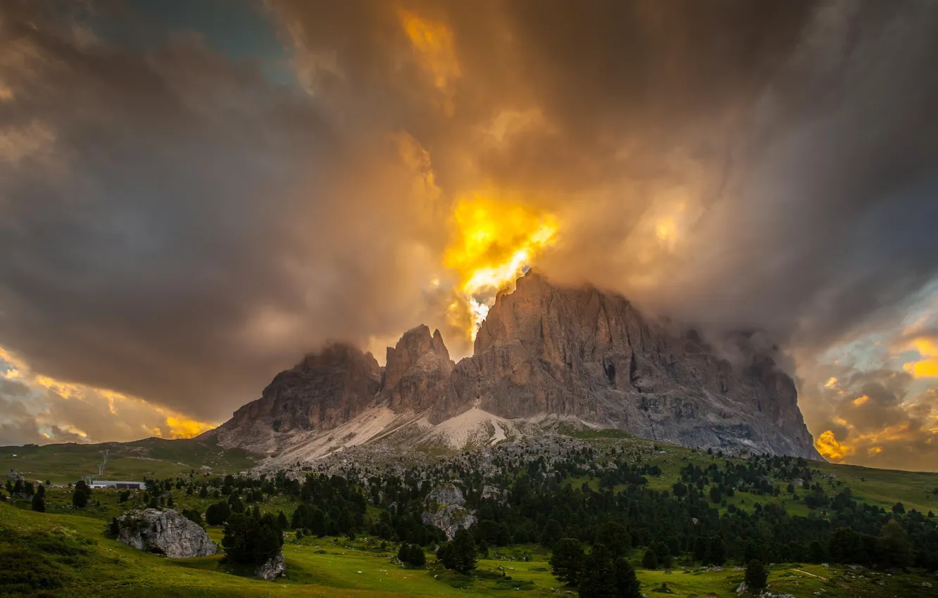 Photo wallpaper forest, clouds, landscape, mountains, dawn