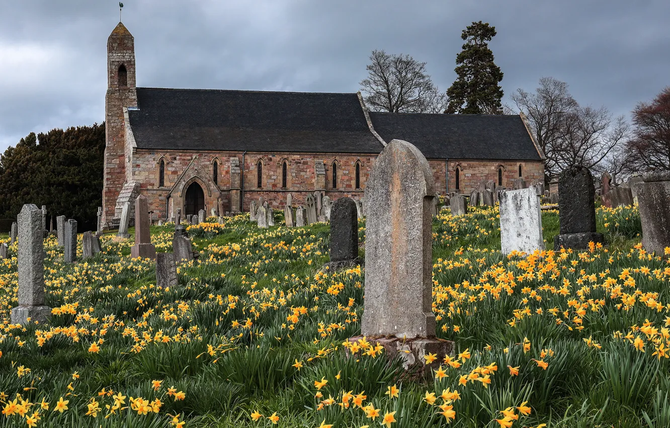Photo wallpaper flowers, stones, spring, Church, cemetery, tombstones, old, architecture