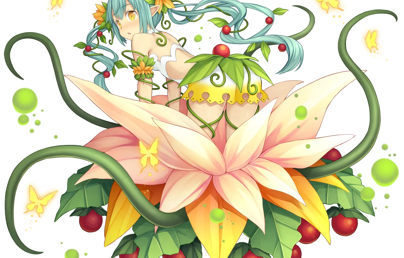 Photo wallpaper girl, flowers, plant, Monmusu Harem