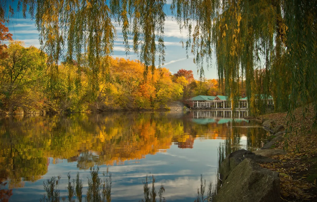 Photo wallpaper autumn, trees, lake, pond