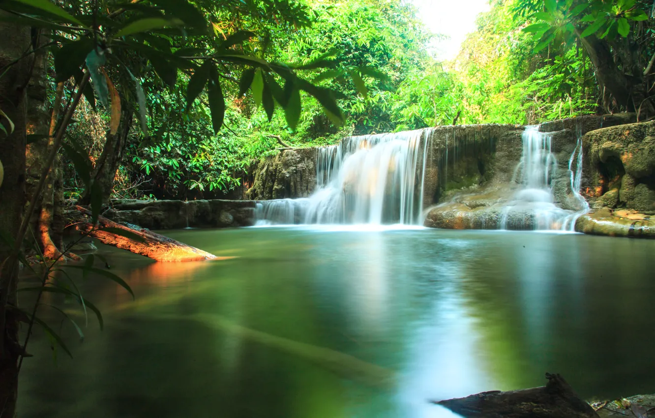 Photo wallpaper greens, forest, the sun, tropics, stream, waterfall, Thailand