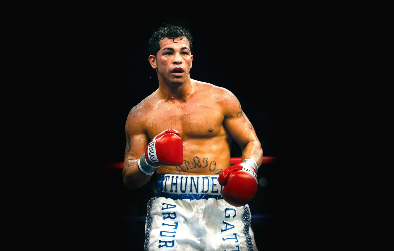 Photo wallpaper Boxing, black background, boxer, boxing, Arturo Gatti, Arturo Gatti