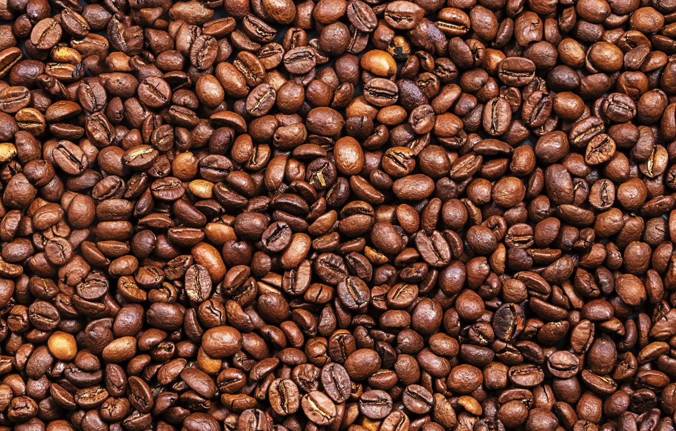Photo wallpaper background, coffee, grain, texture, background, beans, coffee, roasted