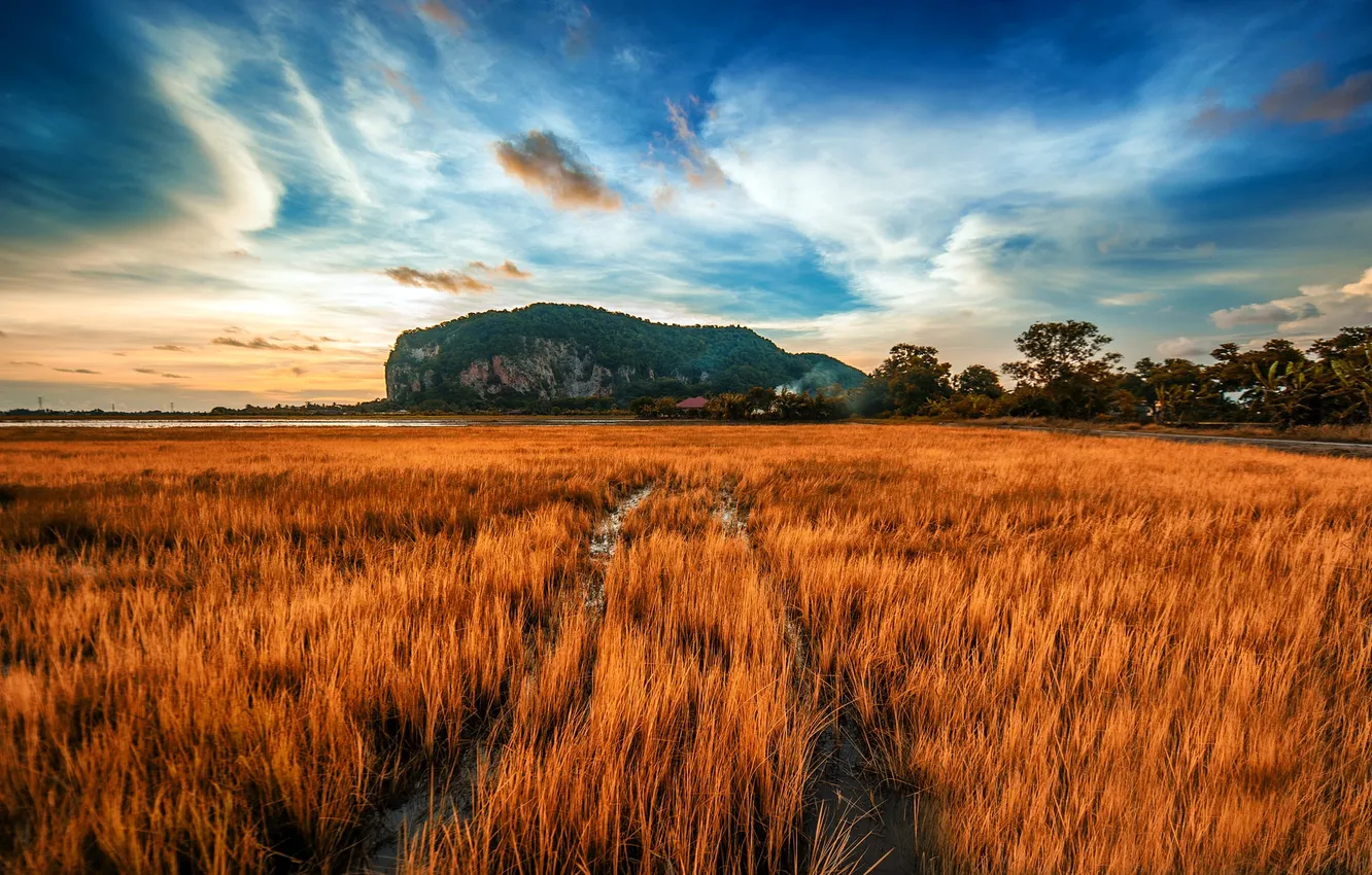 Photo wallpaper field, autumn, the sky, grass, water, clouds, mountains, rocks