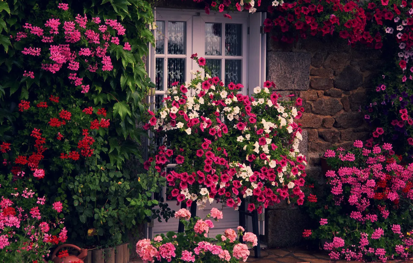 Photo wallpaper greens, flowers, house, wall, the door