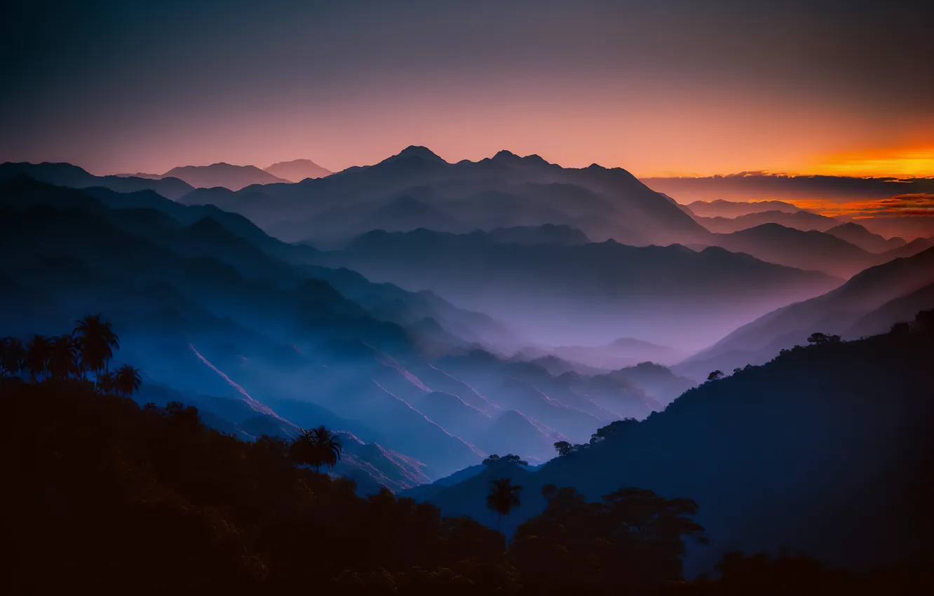 Photo wallpaper forest, landscape, sunset, mountains, fog, sillhouette