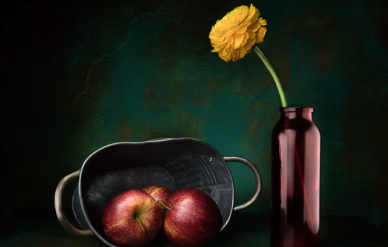 Photo wallpaper flowers, yellow, the dark background, wall, apples, bottle, still life, Ranunculus