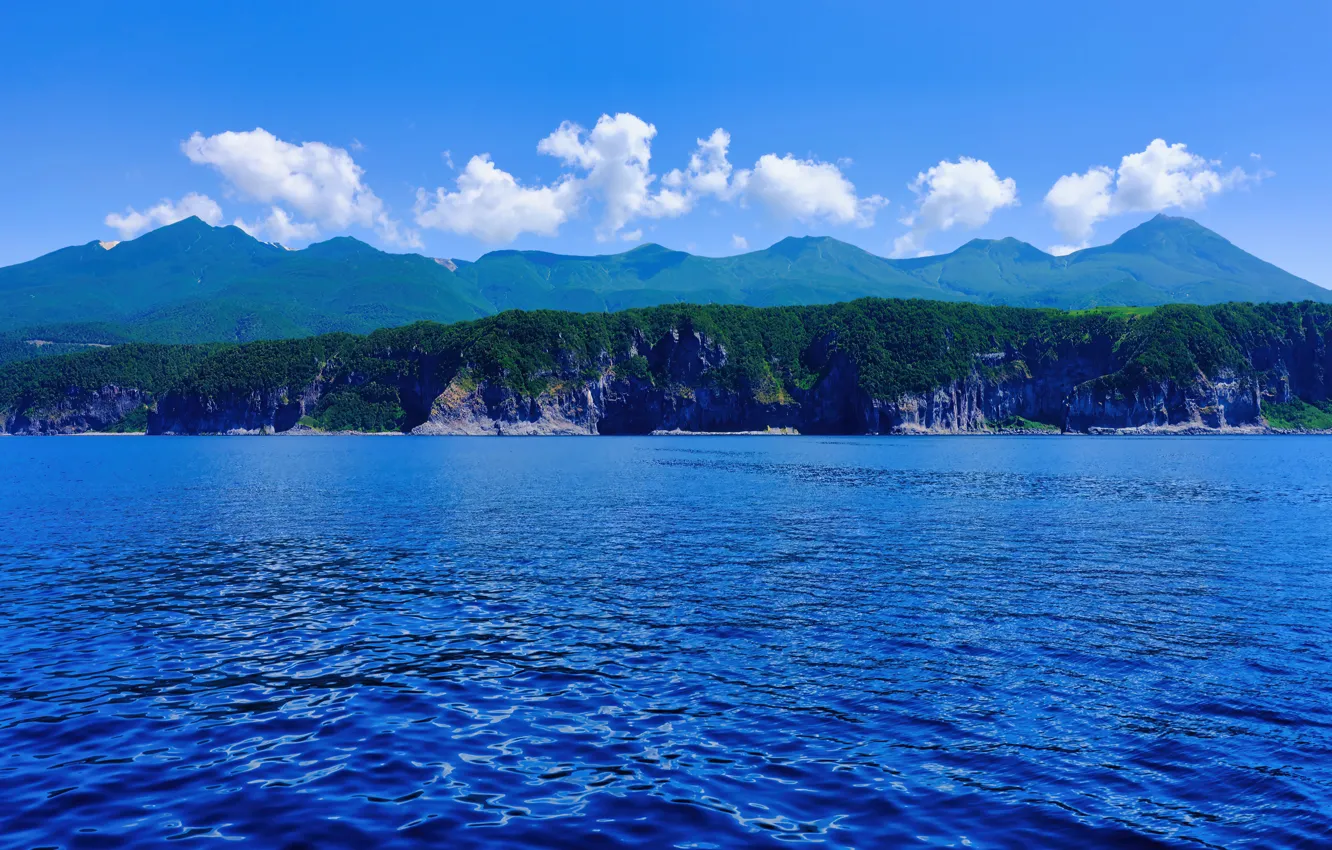Photo wallpaper forest, the sky, clouds, mountains, blue, rocks, shore, vegetation