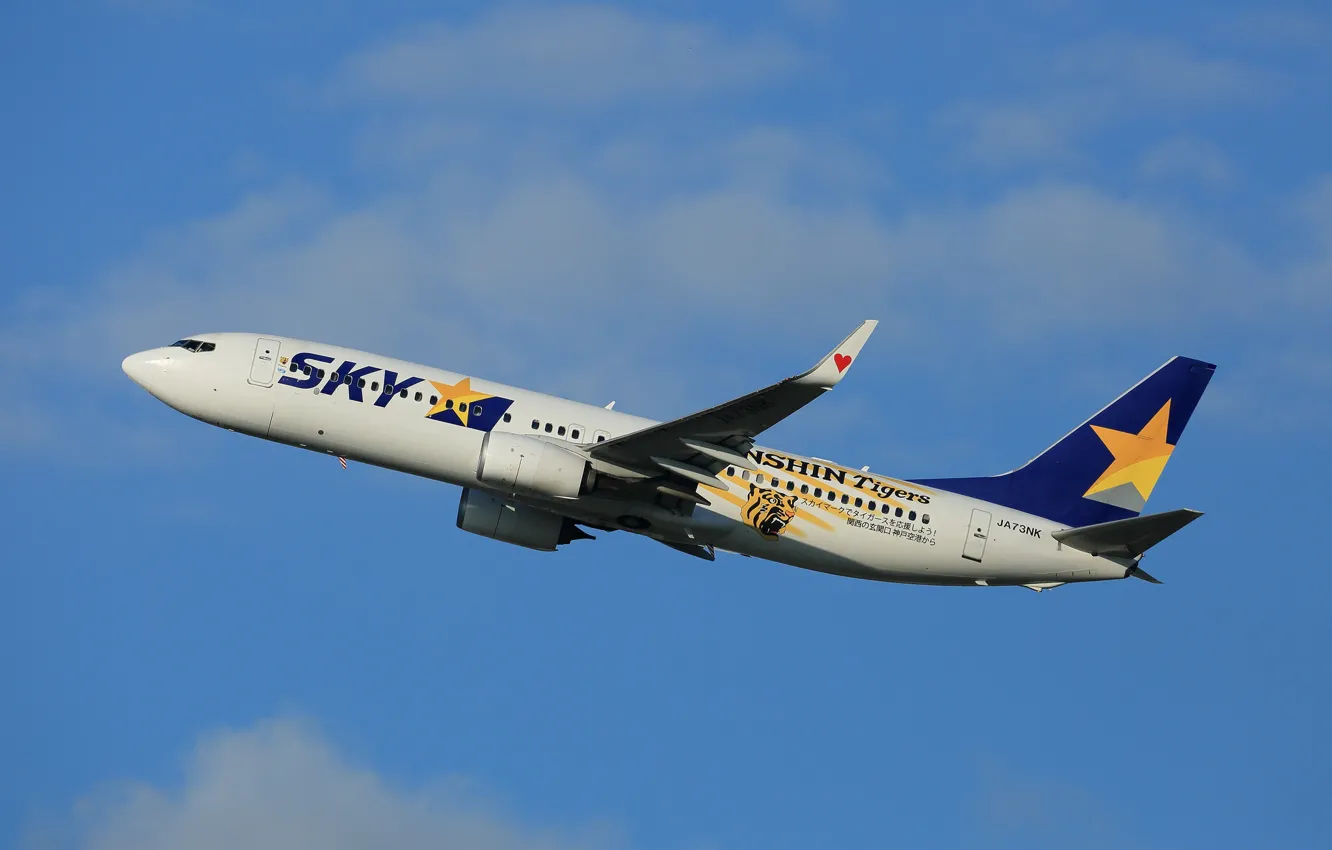 Photo wallpaper aviation, the plane, the rise