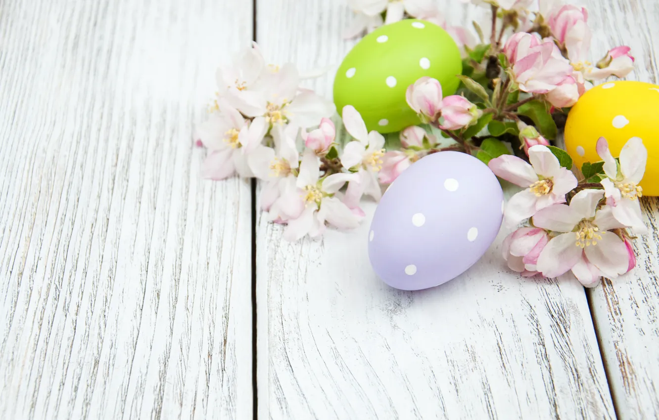Photo wallpaper flowers, eggs, spring, colorful, Easter, wood, blossom, flowers