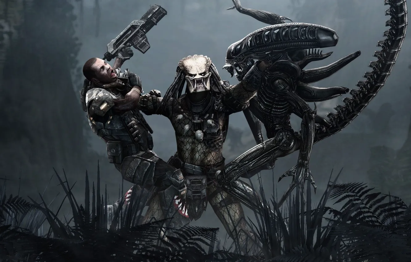 Photo wallpaper The game, Stranger, Predator, 2010, Fiction, Aliens vs Predator, Game, SEGA