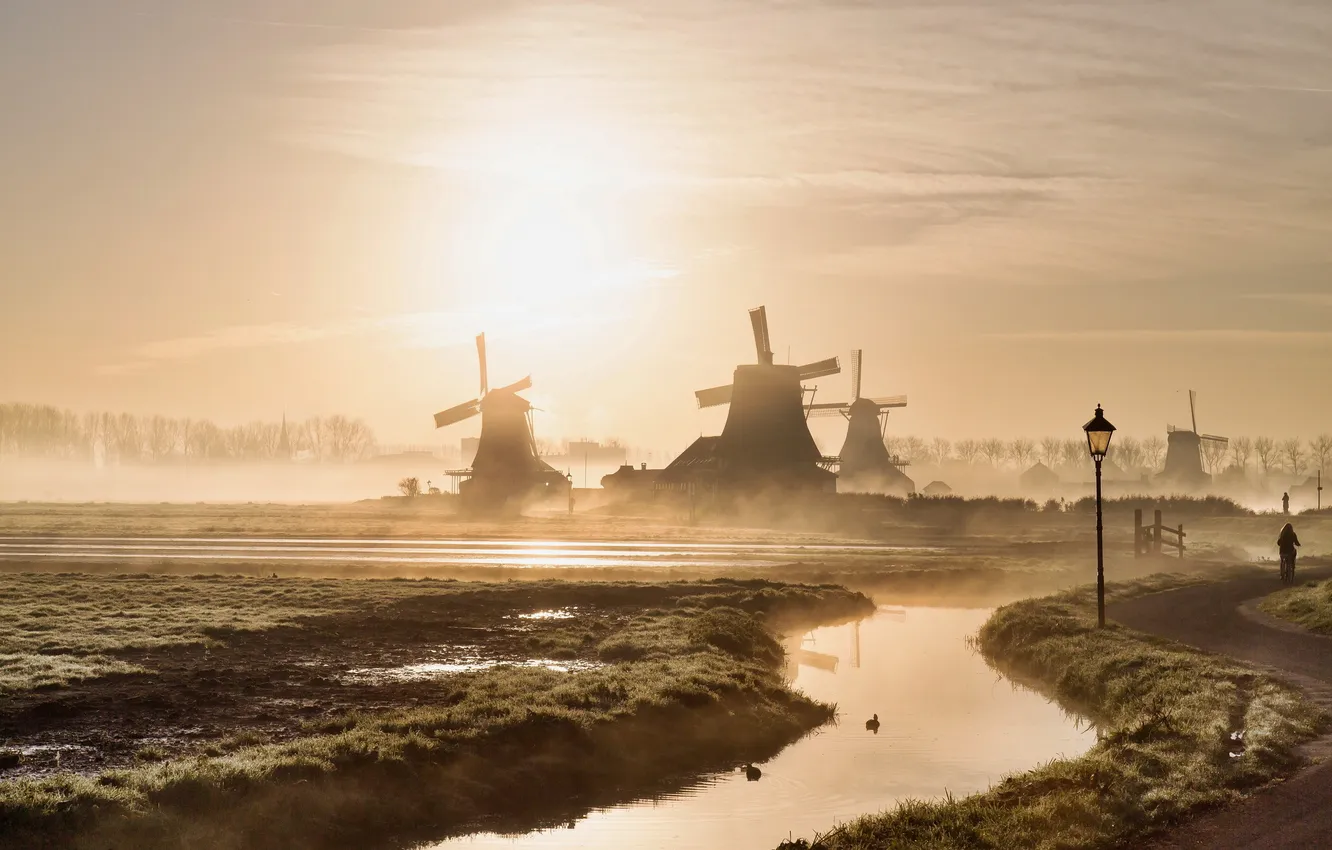 Photo wallpaper fog, sunrise, Misty mills