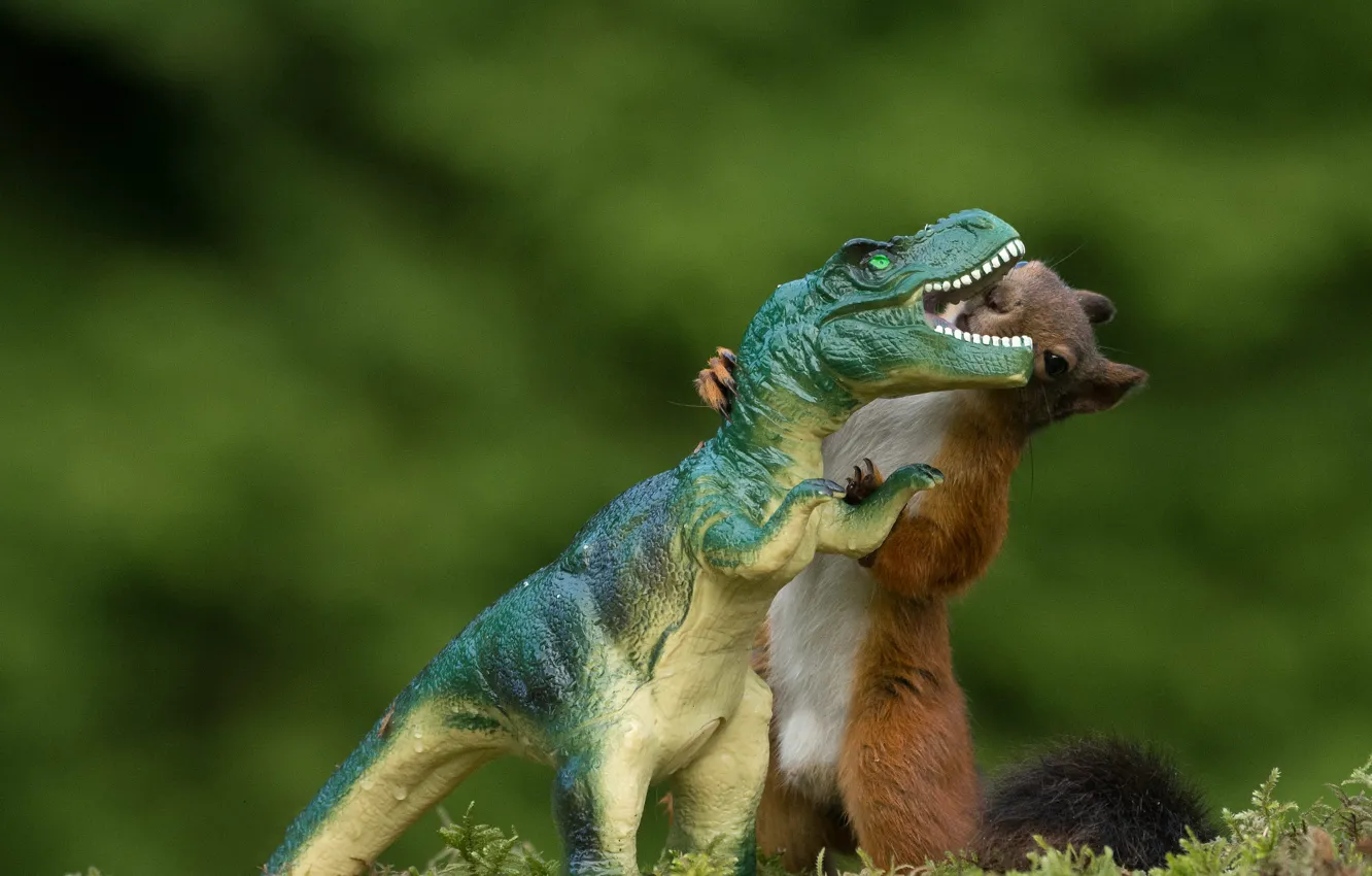 Photo wallpaper look, nature, pose, interest, toy, dinosaur, protein, muzzle