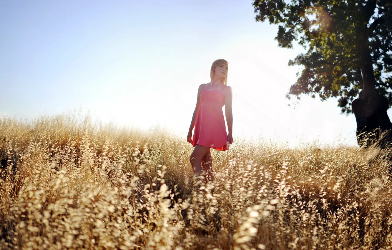 Photo wallpaper field, summer, girl, light