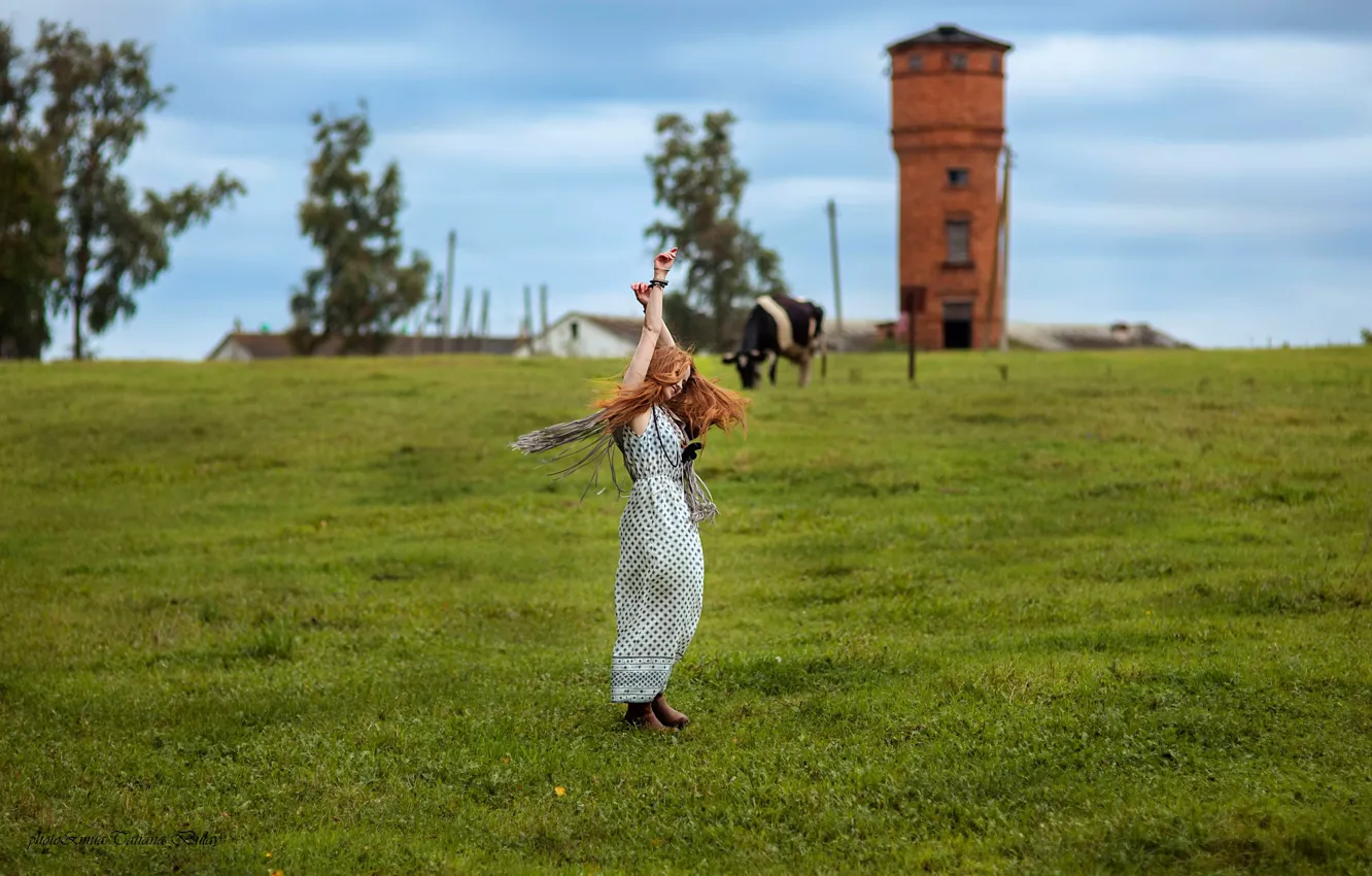 Photo wallpaper cows, girl, Tatiana Bulay, grass, dress