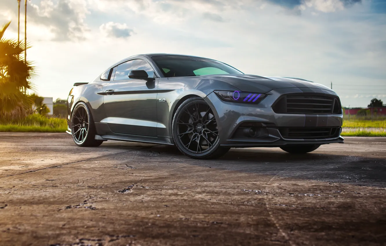 Photo wallpaper Mustang, Ford, 5.0, Wheels, Niche