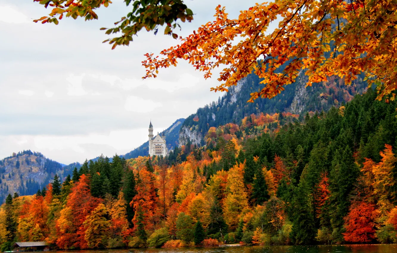 Photo wallpaper autumn, forest, river, castle, Germany, Bayern, nature, Germany