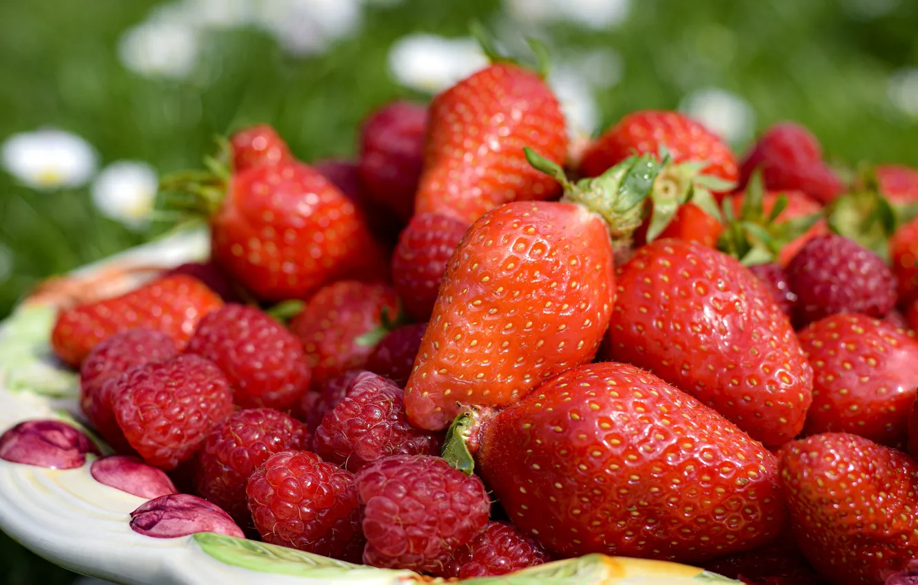 Photo wallpaper berries, raspberry, strawberry, plate