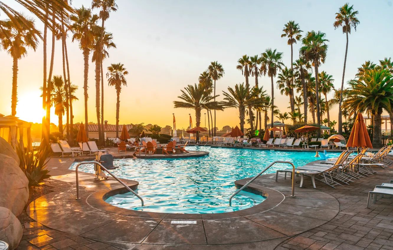 Photo wallpaper summer, sunset, tropics, palm trees, stay, Wallpaper, pool, CA