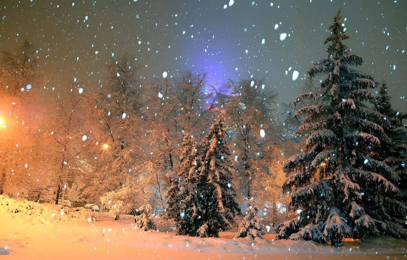 Photo wallpaper snow, nature, nature, snow, winter forest, Winter Forest