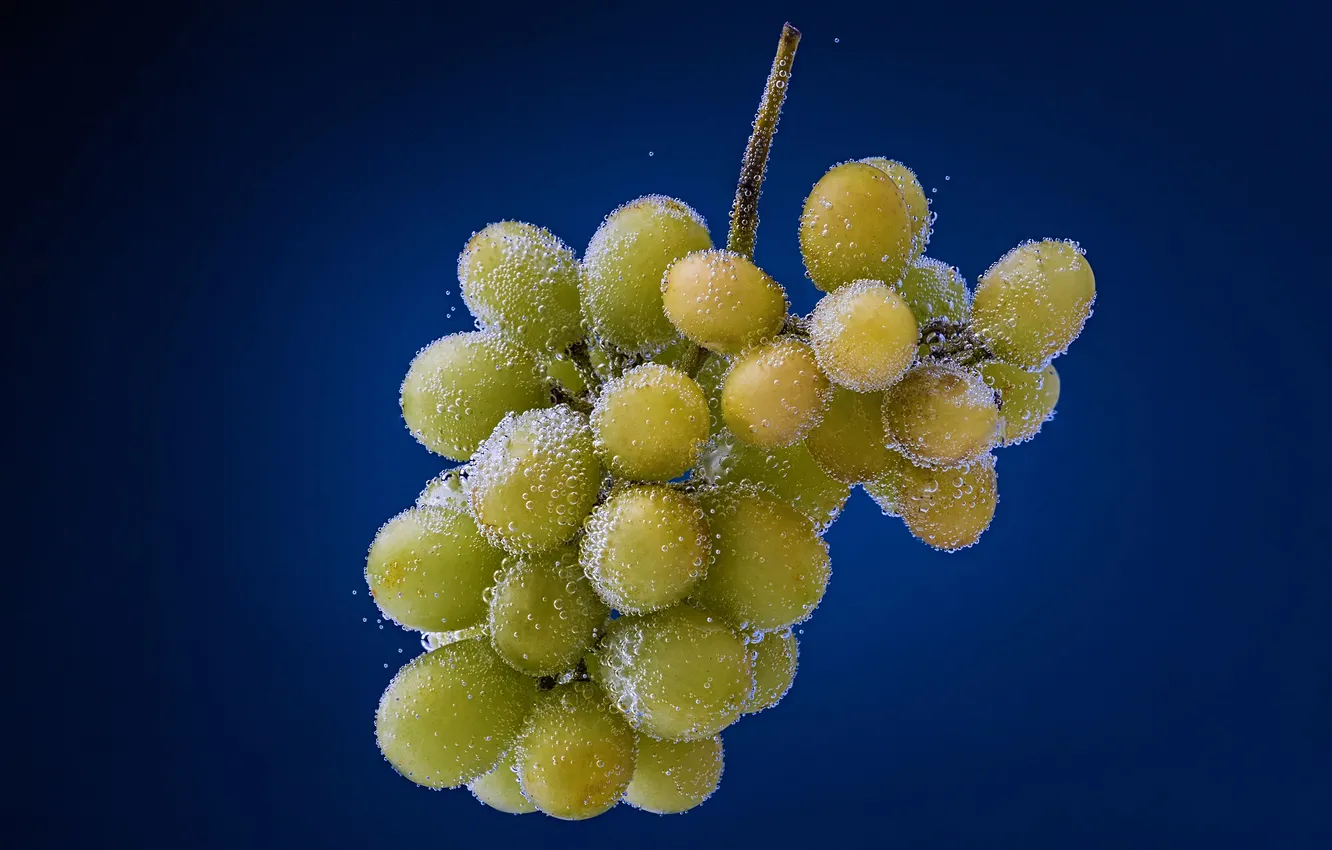 Photo wallpaper water, drops, bubbles, grapes, fruit, Evgeny Degtev