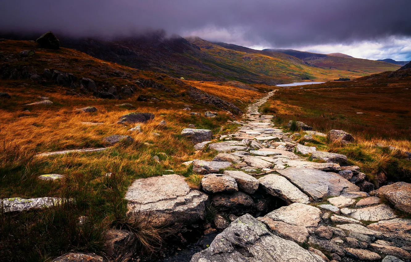 Photo wallpaper autumn, grass, clouds, yellow, nature, fog, stones, UK