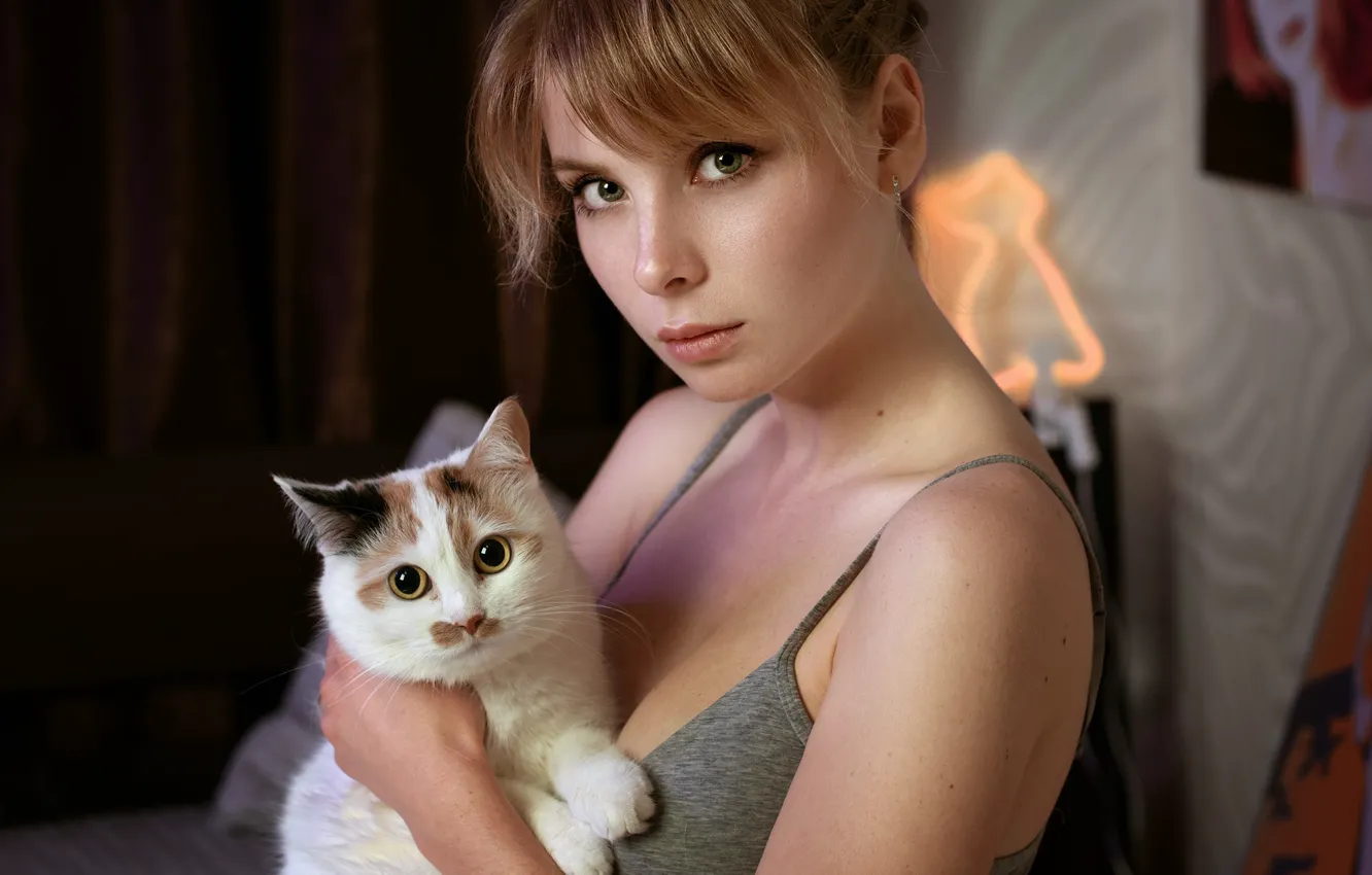 Photo wallpaper cat, look, girl, face, portrait, muzzle, cat, Irina Popova